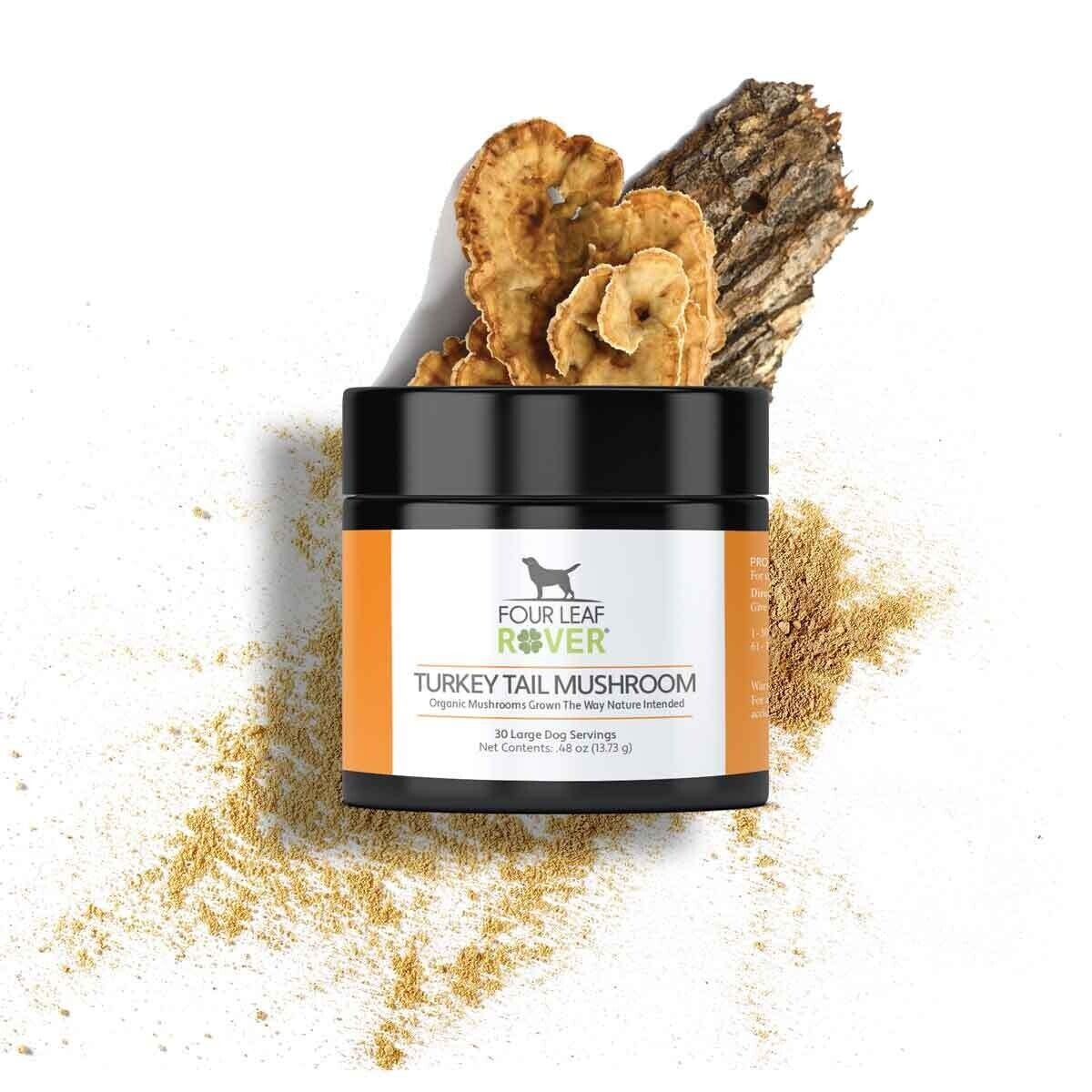 Turkey tail hemangiosarcoma on sale